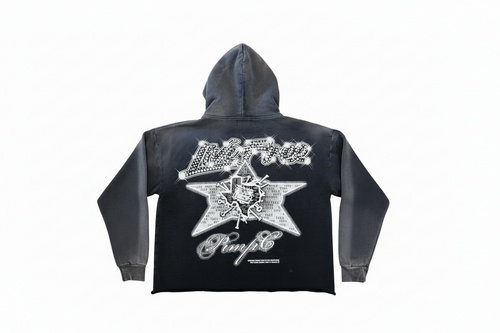 Barriers Pimp C Hoodie